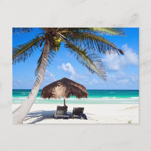 Carte Postale Plage tropicale (Devant)
