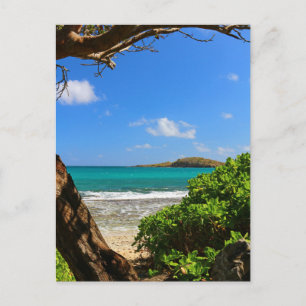 Carte Postale Plage tropicale des Caraïbes