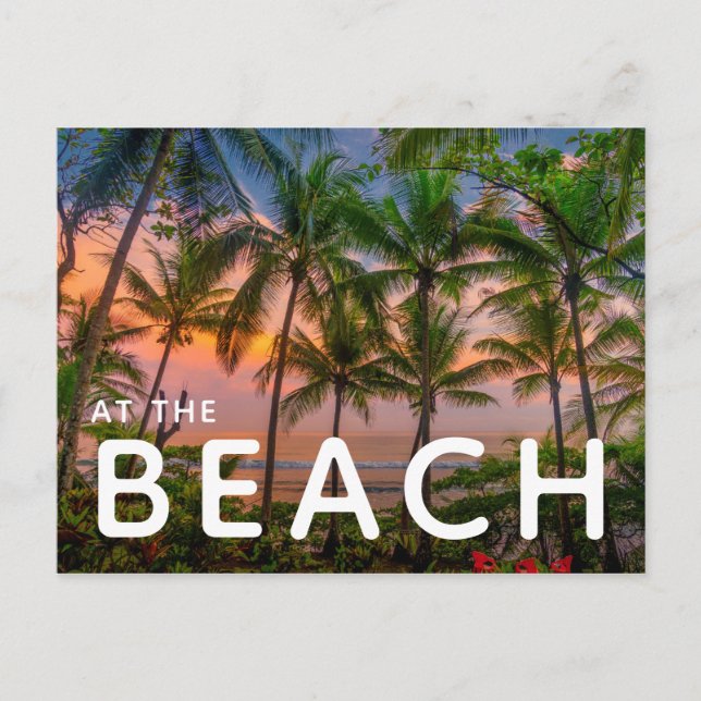 Carte Postale Plage tropicale | Parc national du Corcovado (Devant)