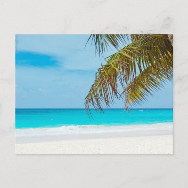 Carte Postale Plage tropicale Turquoise (Devant)