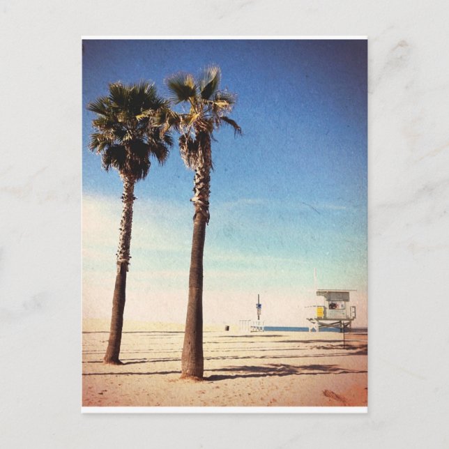 Carte Postale Plage vintage de Venice (Devant)