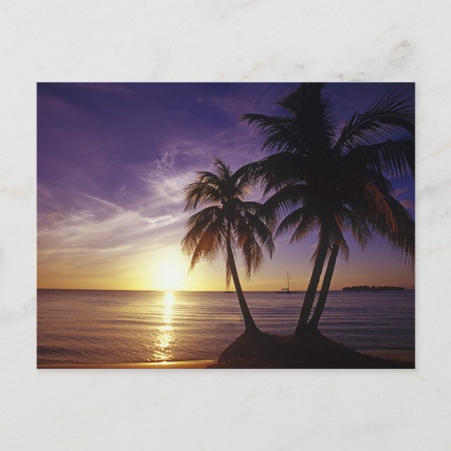 Carte Postale Plages à Negril, Jamaïque 3 (Devant)