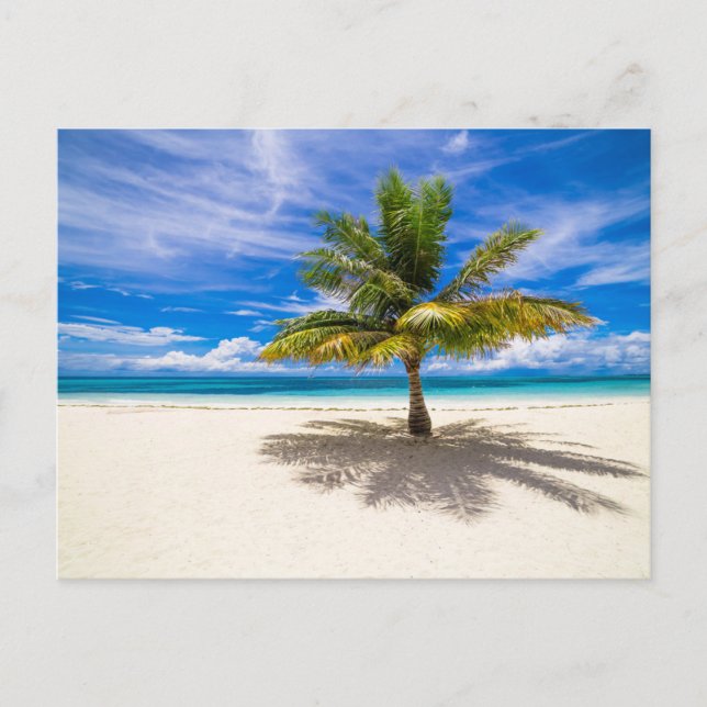 Carte Postale Plages tropicales | Bora Bora, Polynésie française (Devant)