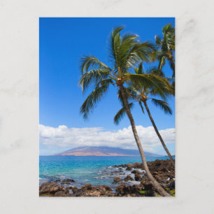 Carte Postale Plages tropicales   Maui Hawaii