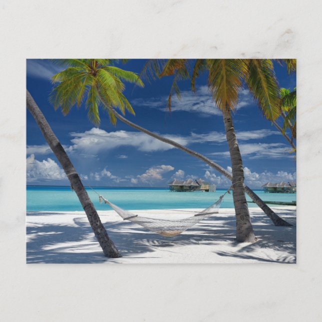 Carte Postale Plages tropicales | Sandy Beach, Maldives (Devant)