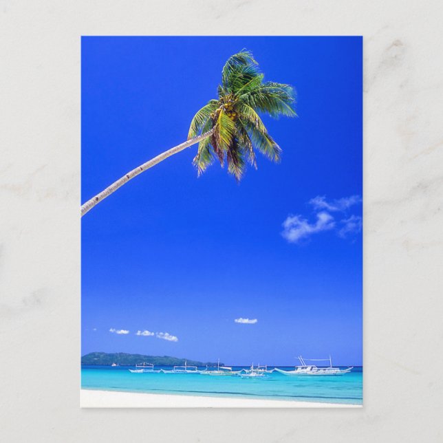 Carte Postale Plages tropicales | White Beach, Phillipines (Devant)