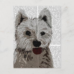 Carte Postale Plaine Terrier de West Highland