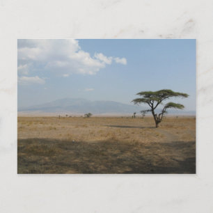 Carte Postale Plaines du Serengeti