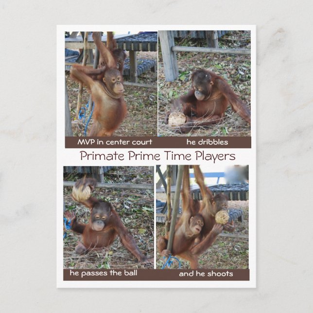 Carte Postale Plaisanteries sur les cerceaux MVP de basket-ball (Devant)