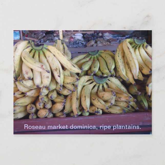 Carte Postale plantains mûrs. (Devant)