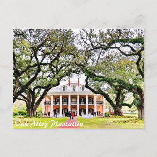 Carte Postale Plantation de chêne