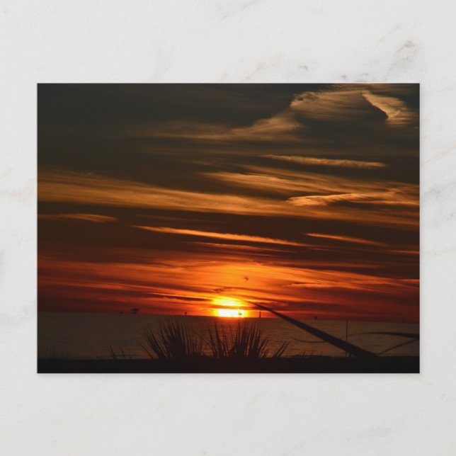 Carte Postale Plantation de Gulf Shores (Devant)