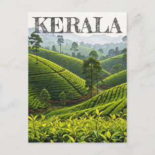 Carte Postale Plantation de thé du Kerala en Inde