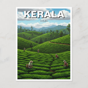 Carte Postale Plantation de thé Kerala India