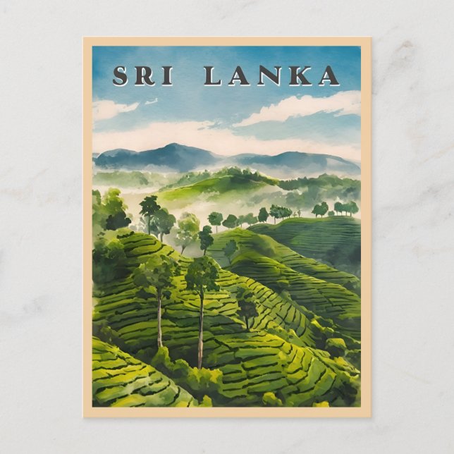 Carte Postale Plantation de thé Vintage voyage Sri Lanka Ceylon (Devant)