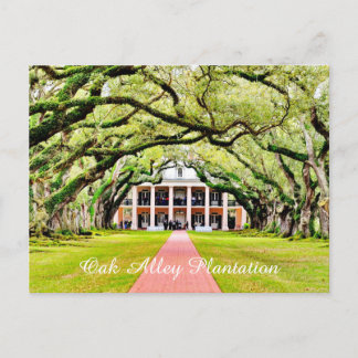 Carte Postale Plantation d'Oak Alley