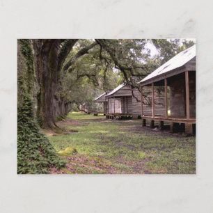 Carte Postale Plantation Louisiane