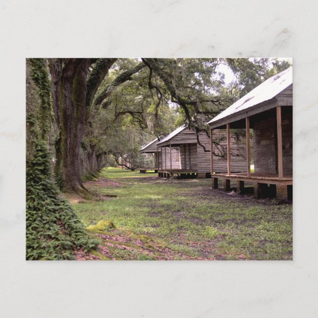 Carte Postale Plantation Louisiane (Devant)