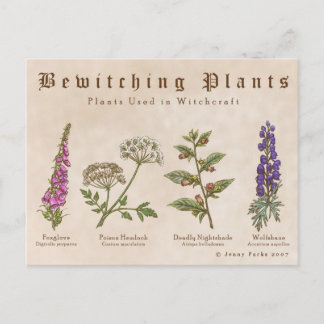 Carte postale Plante