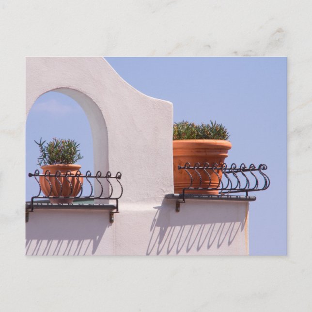 Carte Postale plante À Positano Italie (Devant)