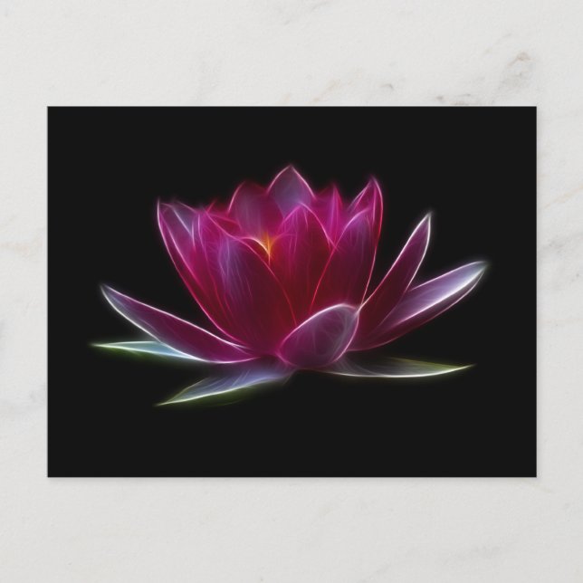 Carte Postale Plante aquatique de fleur de Lotus (Devant)