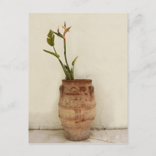 Carte postale Plante Bird of Paradise