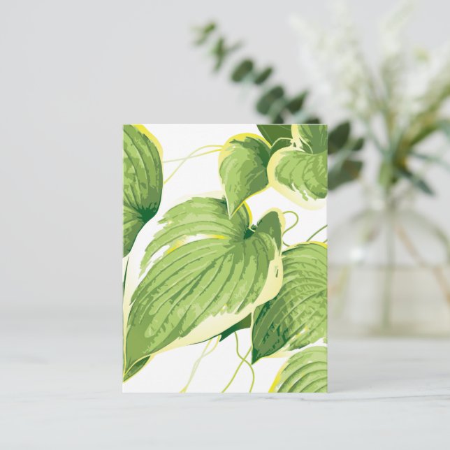 Carte Postale Plante de ficus 2 (Debout devant)