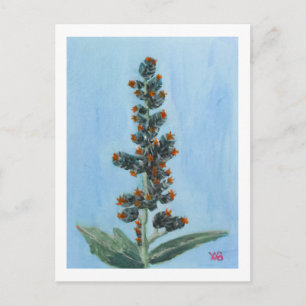 Carte Postale Plante de ricin