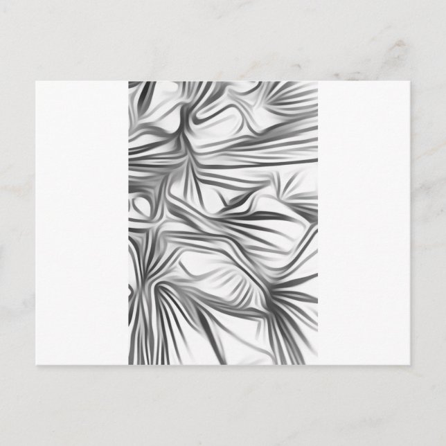 Carte Postale Plante d'impression noir blanc Zwart Wit (Devant)