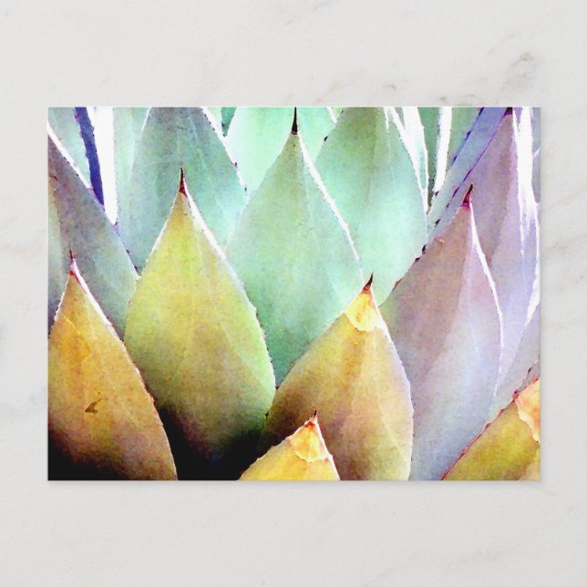 Carte Postale Plante du siècle no 1 (Devant)