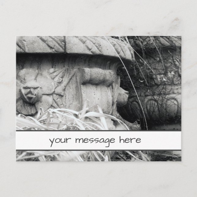 Carte Postale Plante Pots début printemps noir blanc message per (Devant)