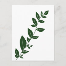 Plante verte boho