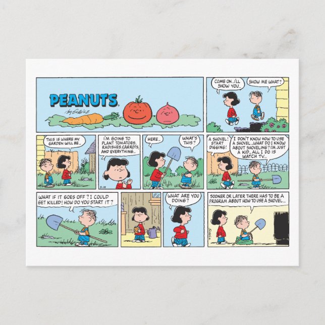 Carte Postale Planter un jardin potager (Devant)