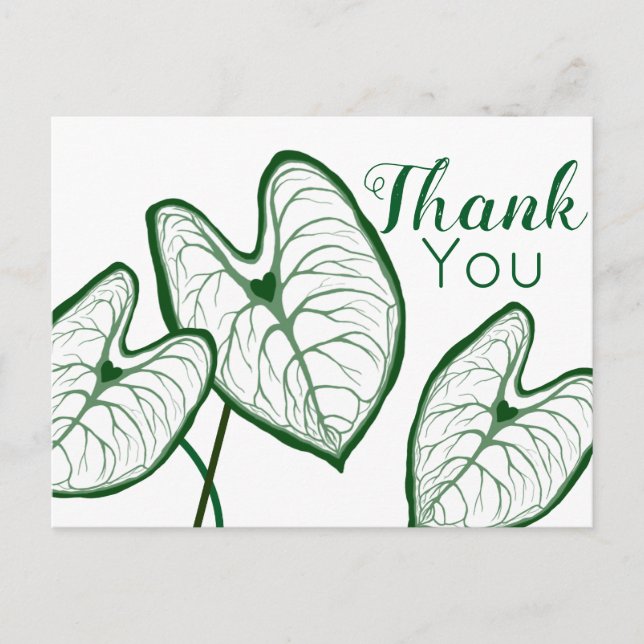 Carte Postale Plantes de Caladium modernes Merci (Devant)