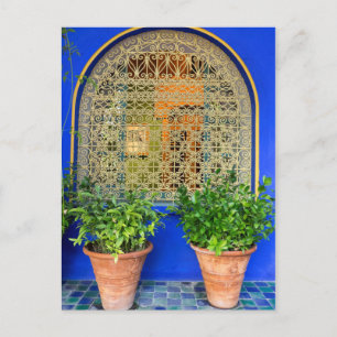 Carte Postale Plantes en pot au jardin