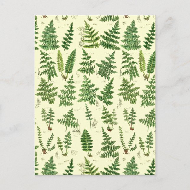 Carte Postale Plantes vintages verts (Devant)