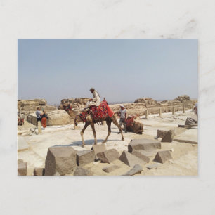 Carte Postale Plateau de Gizeh près des pyramides