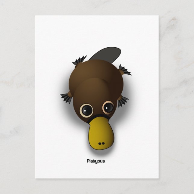 Carte Postale platypus (Devant)