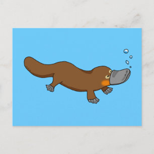 Carte Postale Platypus à bec de canard mignon