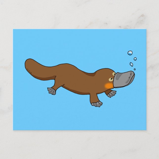 Carte Postale Platypus à bec de canard mignon (Devant)