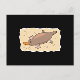 Carte Postale Platypus mignon dans le sable