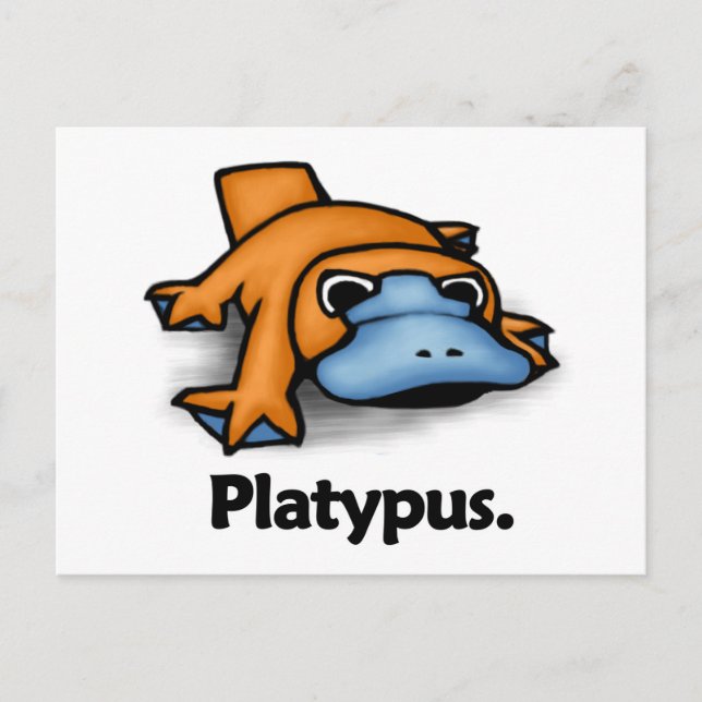 Carte Postale Platypus Platypus. (Devant)