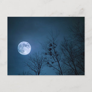 Carte Postale Pleine lune