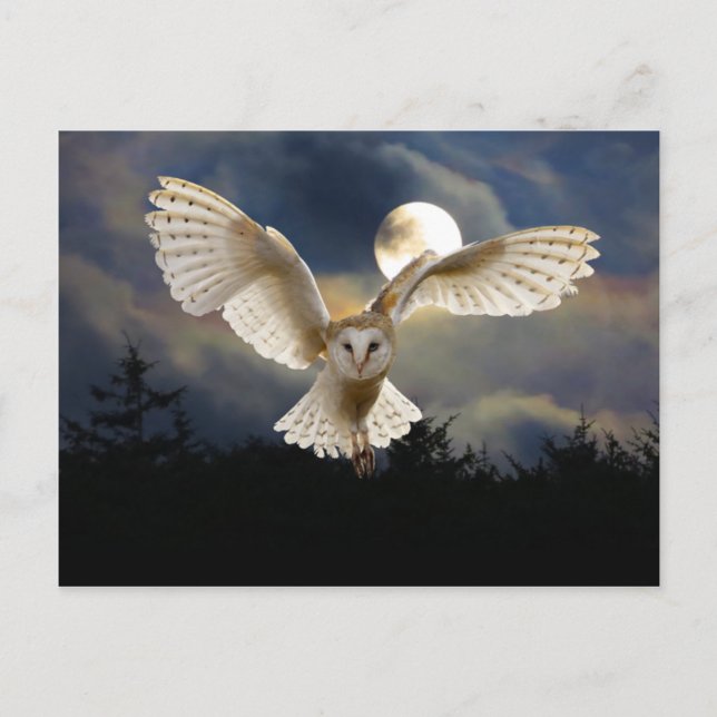 Carte Postale "Pleine lune" (Devant)