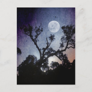 Carte postale Pleine lune