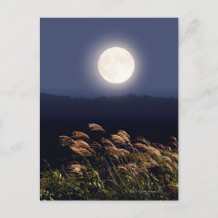 CARTE POSTALE PLEINE LUNE 2