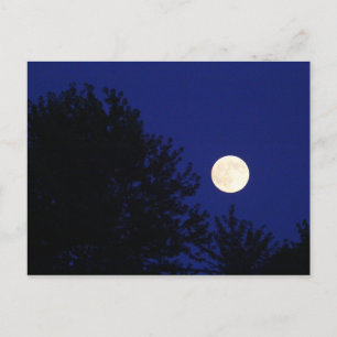 Carte Postale Pleine lune avec arbres et ciel bleu