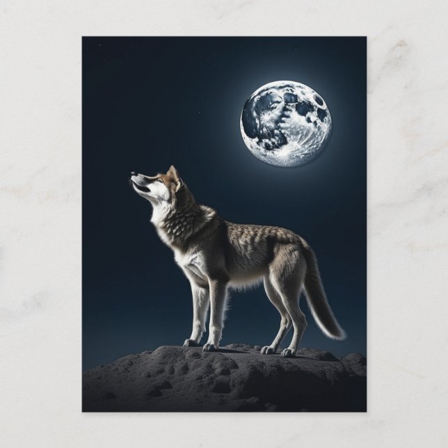Carte Postale Pleine lune brillant sur le blanc du loup (Devant)