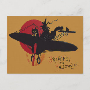 Carte Postale Pleine lune de l'avion de la Sorcière noire