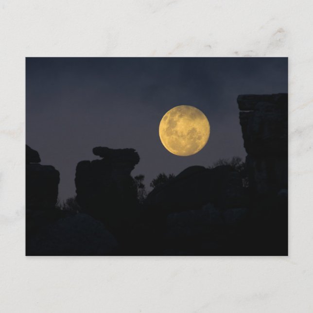 Carte Postale Pleine lune en Wilderness, Afrique du Sud (Devant)